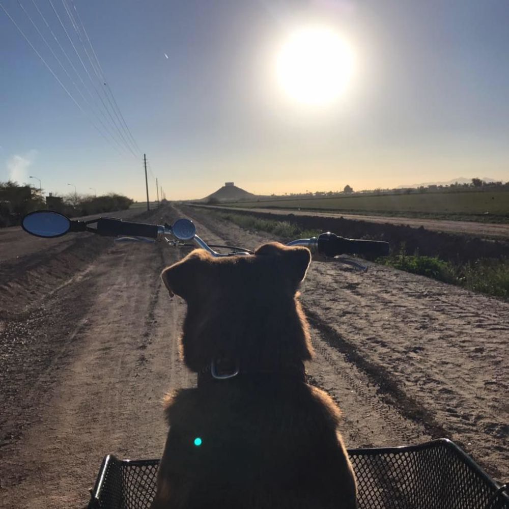 Meet your Posher, Judy